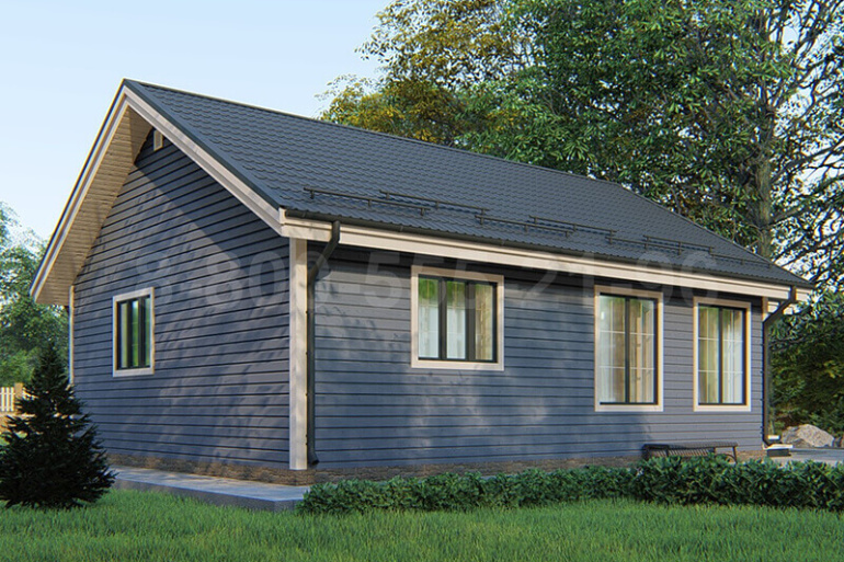 Одноэтажный каркасный дом «Мусь» 12х8